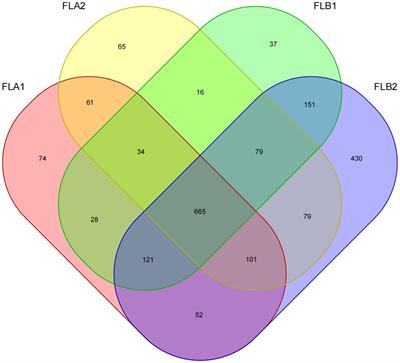 Investigating the relationship between postoperative radiotherapy and intestinal flora in rectal cancer patients: a study on efficacy and <mark class="highlighted">radiation enteritis</mark>